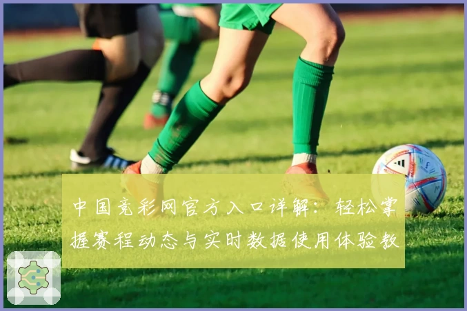 中国竞彩网官方入口详解：轻松掌握赛程动态与实时数据使用体验教程