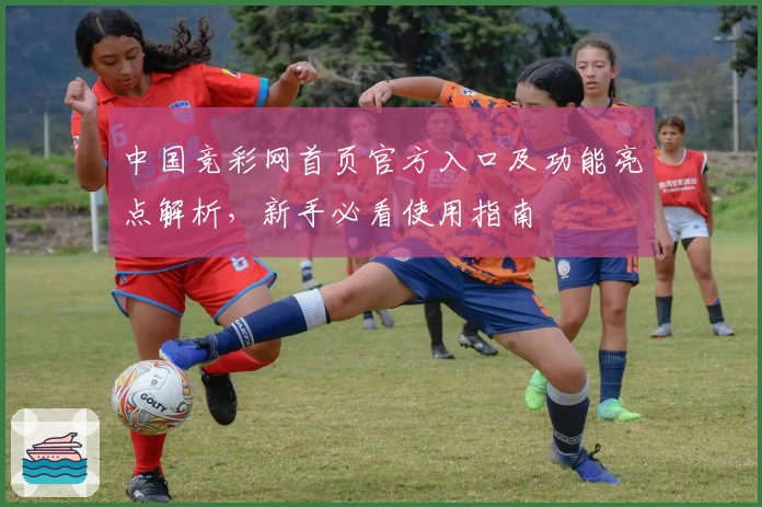 中国竞彩网首页官方入口及功能亮点解析，新手必看使用指南